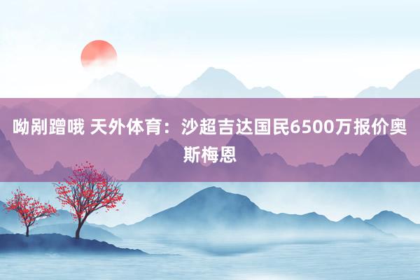 呦剐蹭哦 天外体育：沙超吉达国民6500万报价奥斯梅恩